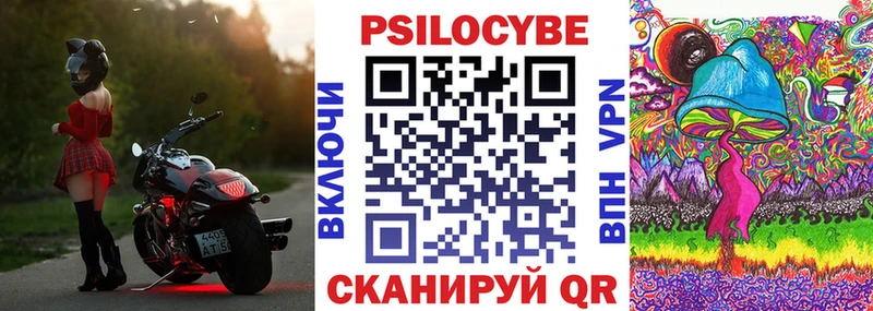 Псилоцибиновые грибы прущие грибы  Севастополь 